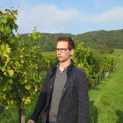 2014 Sommelier-Weinreise Steiermark